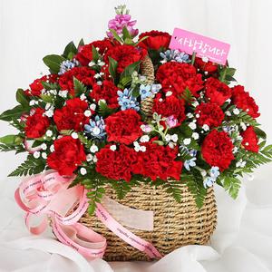 당일 꽃배달 부모님 카네이션 선물 꽃바구니 생화 A1869
