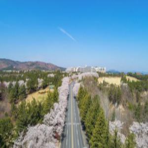 [경북] 켄싱턴리조트 경주(경북, 경주)