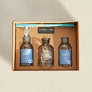 올리 프리미엄 오일 프리저브드 플라워 디퓨저 120ml
