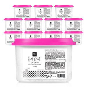 가성비가브랜드다 습기타파 일랑일랑향 제습제 300g, 12입, 1개 