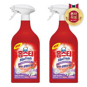 홈스타 맥스프레쉬 뿌리는 곰팡이 싹 곰팡이 제거제(락스함유) 750ml 2개