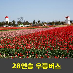임자도 대둔산 튤립축제 안내산악회