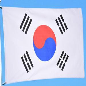 장식 빨간날 축제용 애 계양기 국기 홈 응원용 태극기 애국가 국경일 교육용 계양일 애국자 깃발