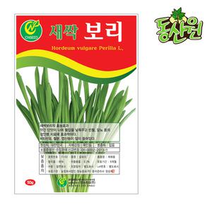 새싹보리씨앗 50g 새싹씨앗 보리싹종자 가정텃밭채소