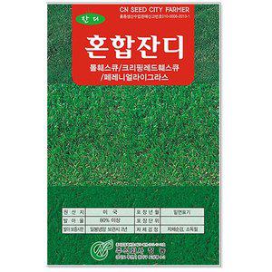[기타]혼합 잔디씨앗 500g/ 경사면 씨앗