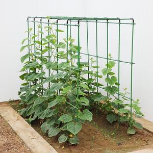 애플수박 지지대 고추 오이키우기 상추재배 비닐하우스만들기 완두콩 포도나무 야채 지주대