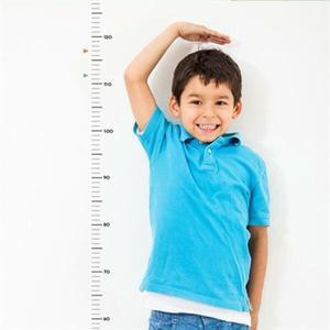 아트박스/디자인아지트 [기성]키재기자 스티커투명심플