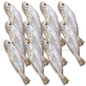 영광 법성포 서상인 장인 민어굴비 보양식 제수용 명품 반건조 손질 생선 찜 조림 구이 민어 굴비 11마리