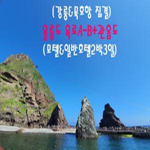 [강릉&묵호항 집결] 울릉도 육로A-B코스+관음도(모텔&일반호텔_2박3일)