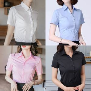 로로비 3SET 슬림핏 여성 반팔 셔츠 캐주얼 여름 정장 카라 블라우스 화이트 블랙 블루 핑크