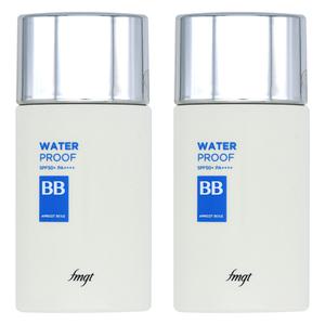 더페이스샵 fmgt 워터프루프 BB / V203 내추럴 베이지 2개