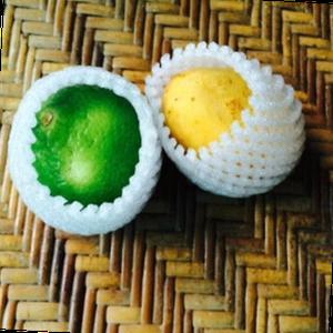 과일망 14x7cm 17x7cm 와인 충격방지 네트 그물망 유리덮게 포장 선물용