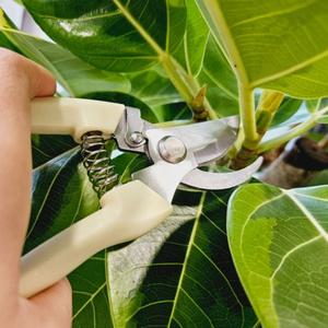 전지가위 안전장금장치 가지치기 조경 과수원 정원/가위/전동/원예/용품/다용도/나무/전지/화훼/전선/커브
