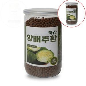양배추환 450g 밀폐통 건강기능 원물 분말압축 신선 보관용이