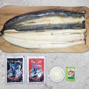 고창 풍천장어 자포니카 초벌 1kg 손질 후 600g 1-3마리