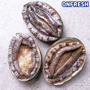 [바다온]완도활전복 1kg 8-9미(미당111g내외) [산소팩, 무료배송]