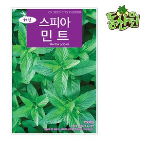 스피아민트씨앗 2000립 허브씨앗 민트종자 텃밭채소