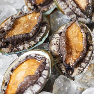 초신선 완도 활전복 1kg 왕특대 (5-7미) +손질칼 증정