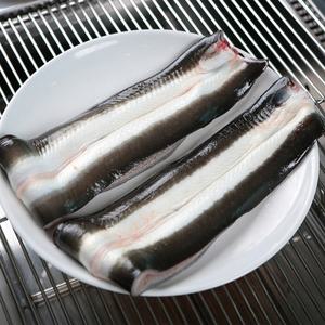 [오늘의바다] 통영 바다장어 240g(3미) x 2팩 (소스 증정)