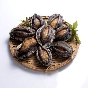 기삼전복 갓잡은 산지전복 대 1kg (12-13미) -인증