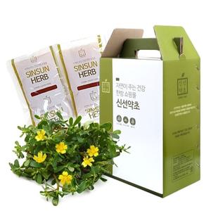 쇠비름즙 110ml x 62포