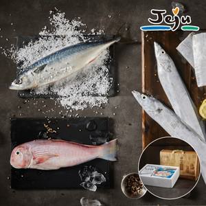 프리미엄 제주 수산물 선물세트 2.3kg(옥돔5마리+갈치1마리+고등어5마리)