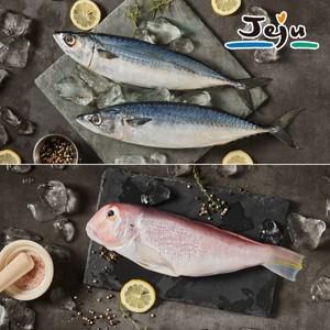 제주 옥돔 고등어 선물세트 2kg(옥돔5마리+고등어5마리)