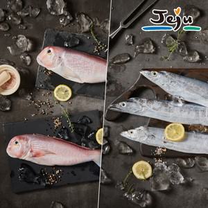 제주 옥돔 갈치 선물세트 1.6kg(갈치2마리+옥돔5마리)