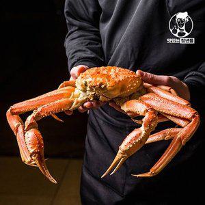 [기타][맛있는청년들] 수율좋은 러시아 선어 박달대게 3kg(3미내외/찜발송)