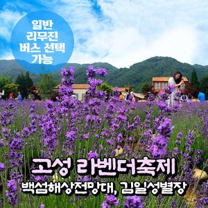 [강원] 고성 라벤더축제+백섬해상전망대+김일성별장+거진전통시장 당일여행 (일반/리무진 선택)/서울경기出