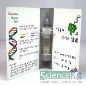 사이언스키트 DNA 추출1 식물세포(4인용)
