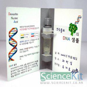 사이언스키트 DNA 추출1 식물세포(4인용)