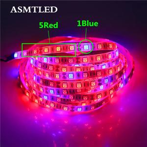 5050 LED 식물 재배 조명, 온실 수경 식물 재배용, 레드 블루 3:1, 4:1, 5:1 방수, DC12V, 50cm, 1m, 2m, 3m, 4m, 5m