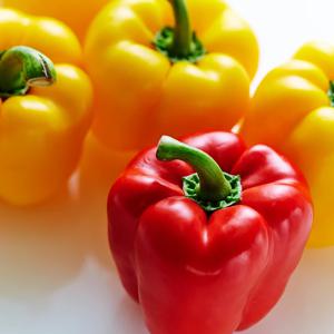 [오늘담은] 혼합 파프리카 1kg~5kg