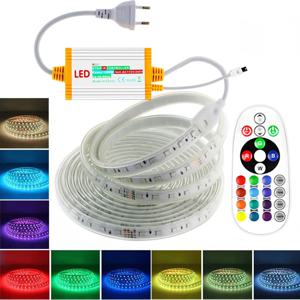 RGB LED 스트립 조명 220V 방수/멀티 컬러/멀티 모드/디밍이 가능한 SMD5050 로프 램프(원격/EU 플러그 포함) 정원 건물용