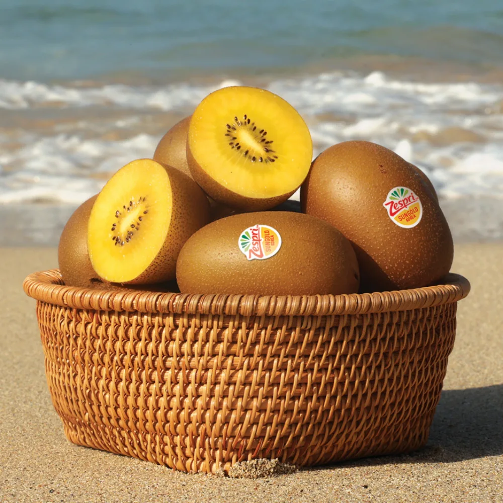 제스프리 꿀 맛 골드키위 500g 1kg 2kg 3kg