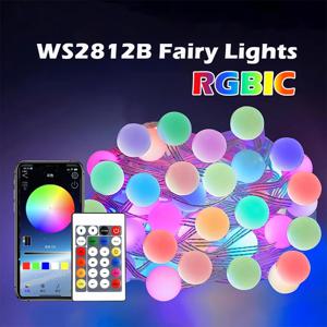 블루투스 USB LED 문자열 빛 RGBIC 라운드 갈 랜드 빛 스마트 색상 홈 축제 장식에 대 한 정원 조명 문자열 변경