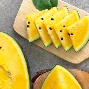 [더조은] 속 노란 망고수박 2.5kg 내외 (2통)