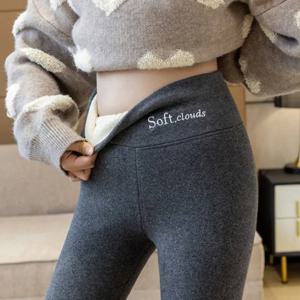 여성용 양털 안감 레깅스 열 겨울 따뜻한 스타킹 하이 웨이스트 캐주얼 따뜻한 겨울 솔리드 바지, 2개 구매 시 5% 할인