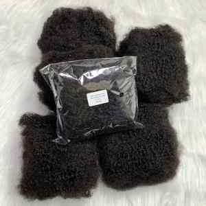 1Pc/30g 머리카락 없음 씨실 브라질 아프로 킨키 컬리 인간의 머리카락 벌크 레미 벌크 브레이드 익스텐션 Locs Braids 용 Natural Hai