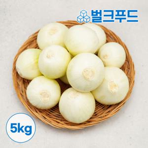 특대 깐양파 5kg 수입산 생 양파