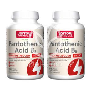 (오플닷컴) 2개 판토텐산 500 mg 100 베지 캡슐 비타민 B5 칼슘함유 비건 100 베지캡슐 빠른직구