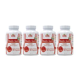 4개 매스틱검 1000 mg 메스틱 Mastic Gum 다이제스티브 서포트 120 캡슐 Logic Nutra