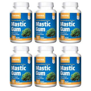 6개 Jarrow Formulas 자로우 포뮬러스 매스틱 검 60 배지캡슐