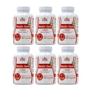 (오플닷컴) 6개 매스틱검 1000 mg 메스틱 Mastic Gum 다이제스티브 서포트 120 캡슐 Logic Nutra 빠른직구