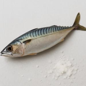 (신선집중) 국내산 부산 손질 자반 고등어 12마리 가정용 사이즈 2kg~2.5kg 내외