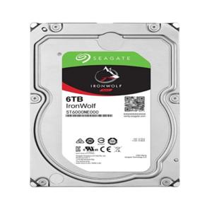 씨게이트 ST6000NE000 아이언울프 프로 NAS 256MB 6TB 내부 3.5 인치 SATA 하드 드라이브