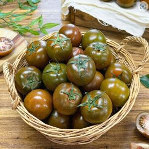 보성 흑토마토 2kg