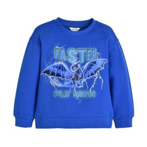 컬리수 HC04 드래곤길들이기맨투맨 BL C241TSG63P