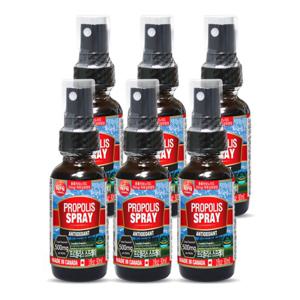 Canada통라이프 프로폴리스스프레이30ml 6병-플라보노이드총500
